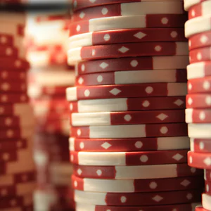 여왕벌카지노: 신뢰와 논란 사이, 진실을 파헤치다